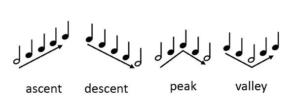 The four melodic profiles used by Atonal Line