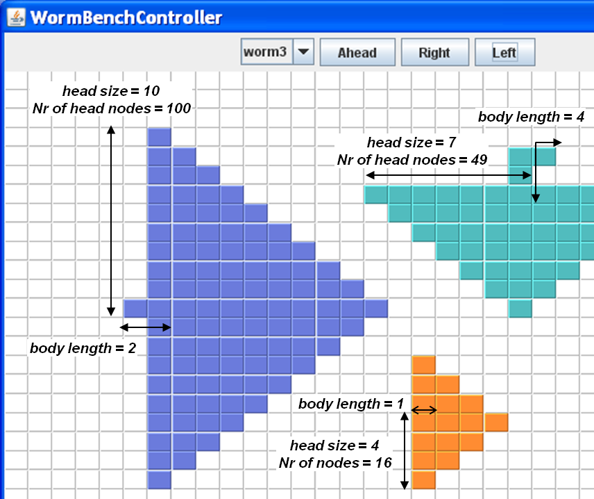 Example of worms layout on the world