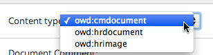 Alfresco uploader-plus: content type selection