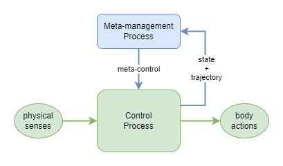 independent meta-management