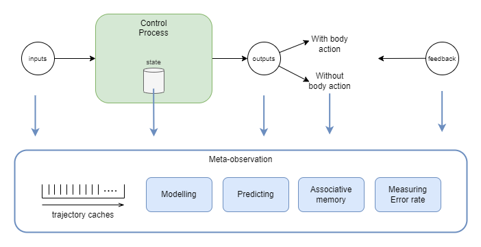 meta-management observation options